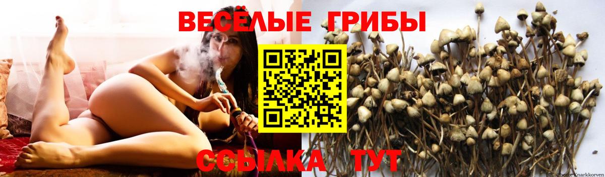 Галлюциногенные грибы MAGIC MUSHROOMS  Вход с VPN  Ханты-Мансийск 